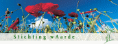 stichting waarde