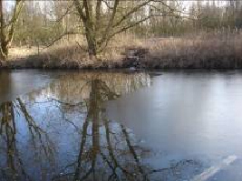 Winterbeek