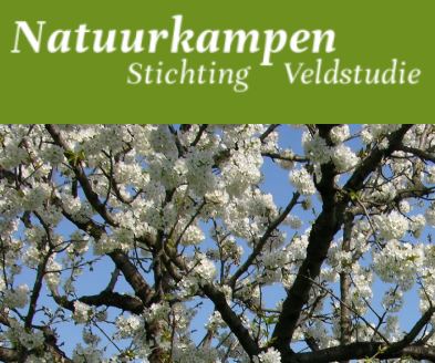 Stichting Veldstudie