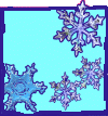 winter winter