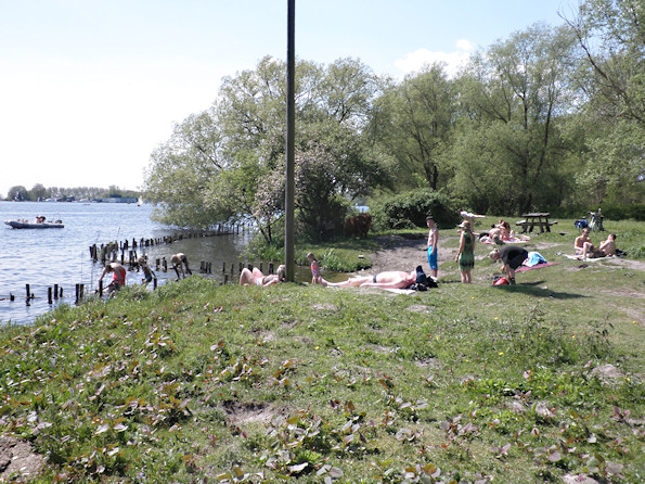 image1 image1