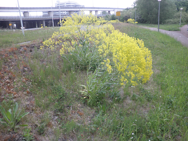 image3 image3