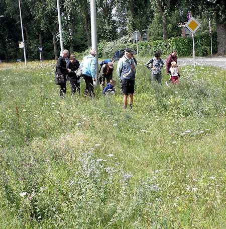 excursie excursie
