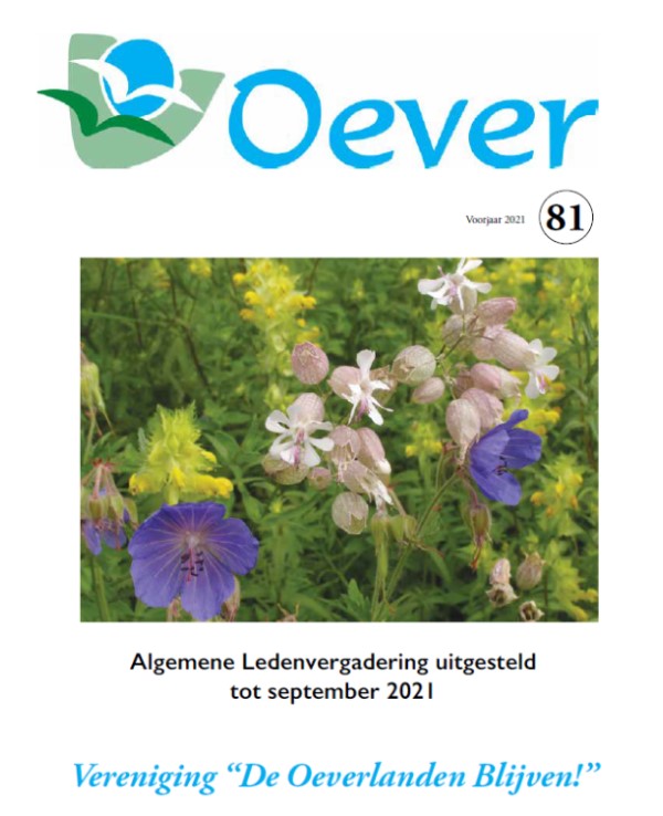 Oever 81