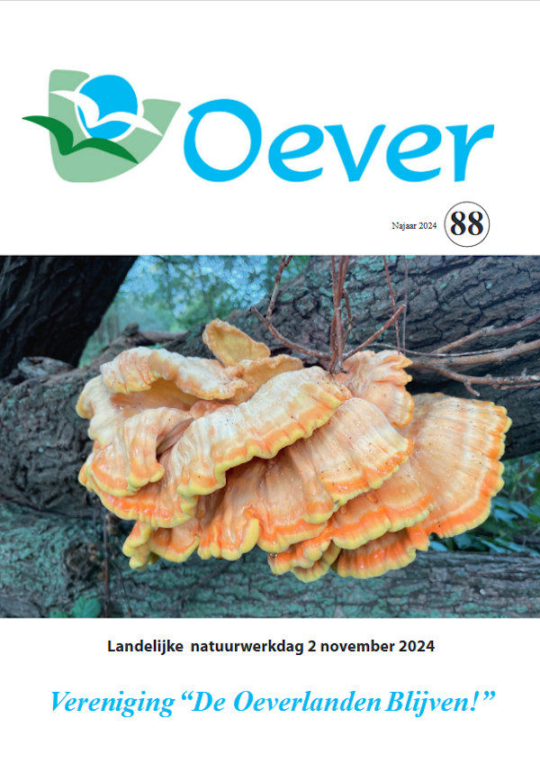 Oever 88